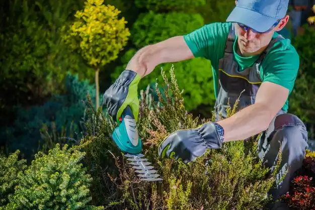 landscaping services Glenmora